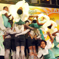 Saint Thomas High School lobby for halting deforestation